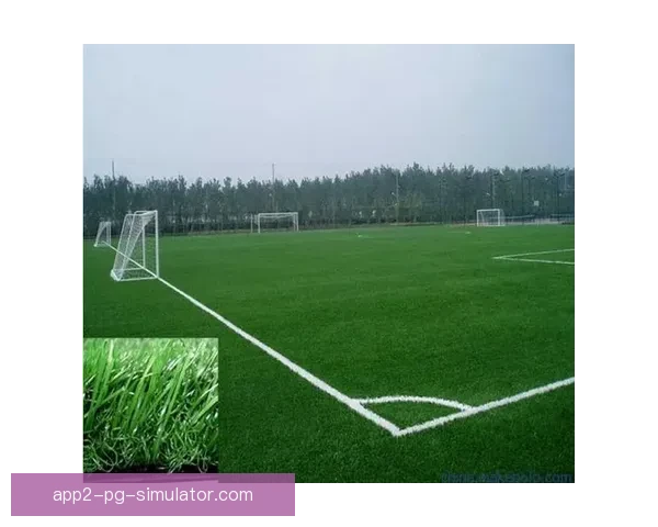 巴塞罗那新球场草坪更换系统获得国际足联认证